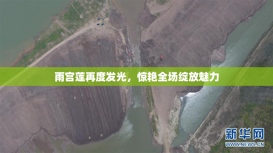 雨宫莲再度发光，惊艳全场绽放魅力