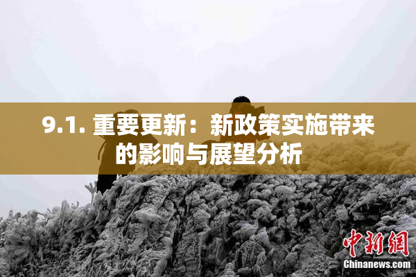 9.1. 重要更新：新政策实施带来的影响与展望分析