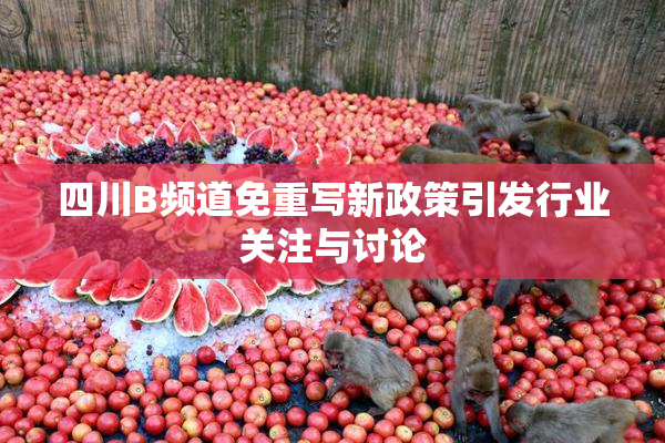 四川B频道免重写新政策引发行业关注与讨论