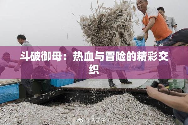 斗破御母：热血与冒险的精彩交织