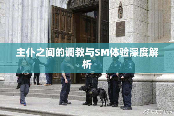 主仆之间的调教与SM体验深度解析