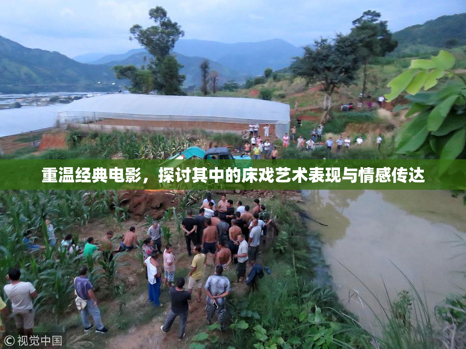 重温经典电影，探讨其中的床戏艺术表现与情感传达