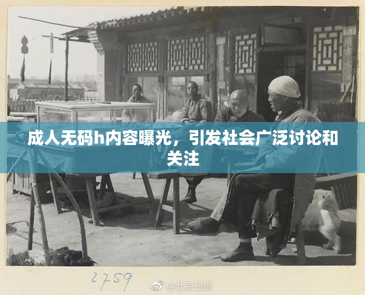 成人无码h内容曝光，引发社会广泛讨论和关注