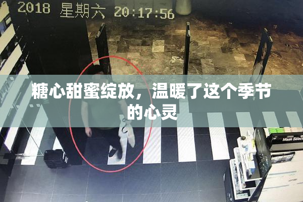 糖心甜蜜绽放，温暖了这个季节的心灵
