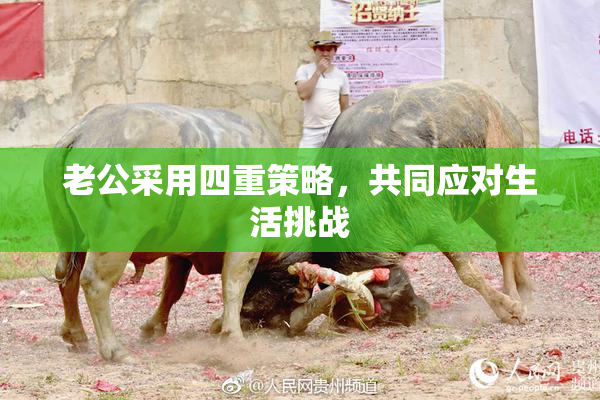 老公采用四重策略，共同应对生活挑战