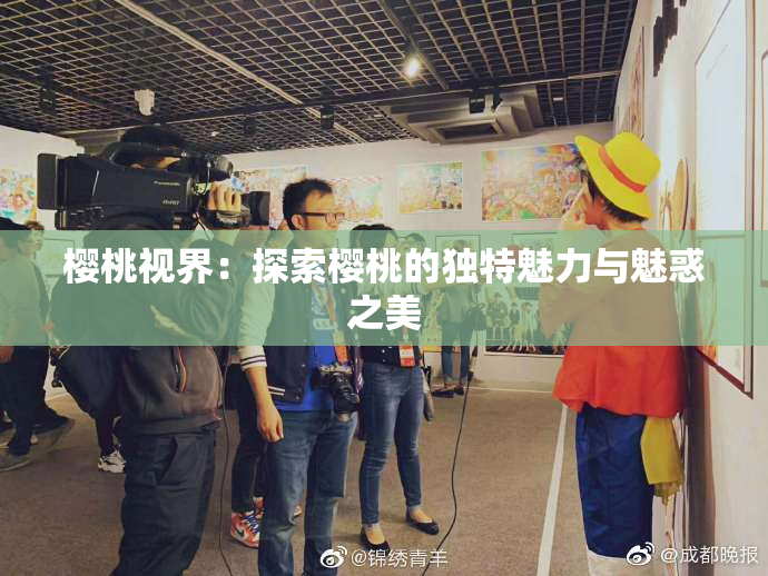 樱桃视界：探索樱桃的独特魅力与魅惑之美