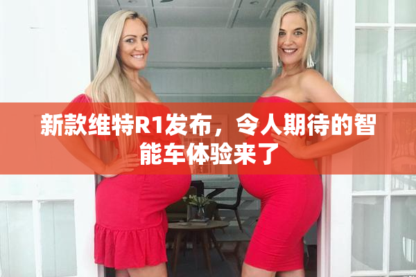 新款维特R1发布，令人期待的智能车体验来了