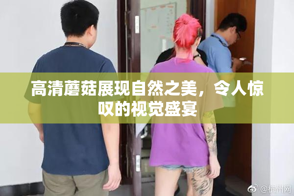 高清蘑菇展现自然之美，令人惊叹的视觉盛宴