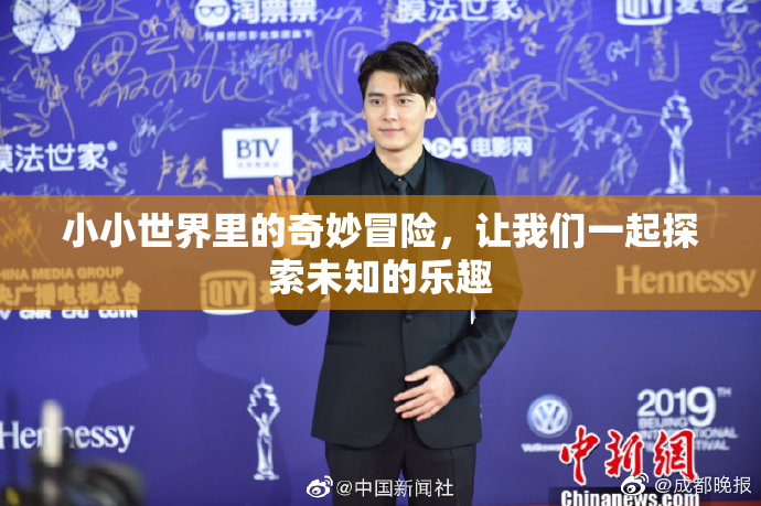 小小世界里的奇妙冒险，让我们一起探索未知的乐趣