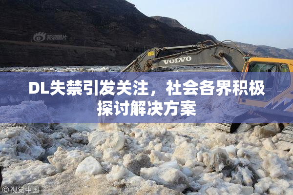 DL失禁引发关注，社会各界积极探讨解决方案