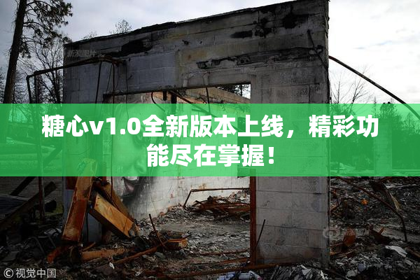 糖心v1.0全新版本上线，精彩功能尽在掌握！
