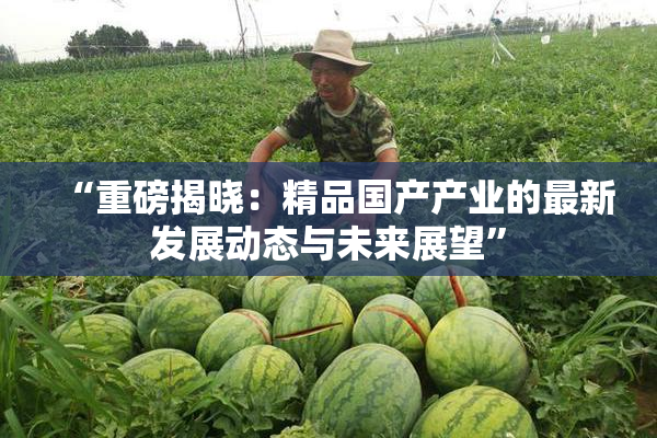 “重磅揭晓：精品国产产业的最新发展动态与未来展望”