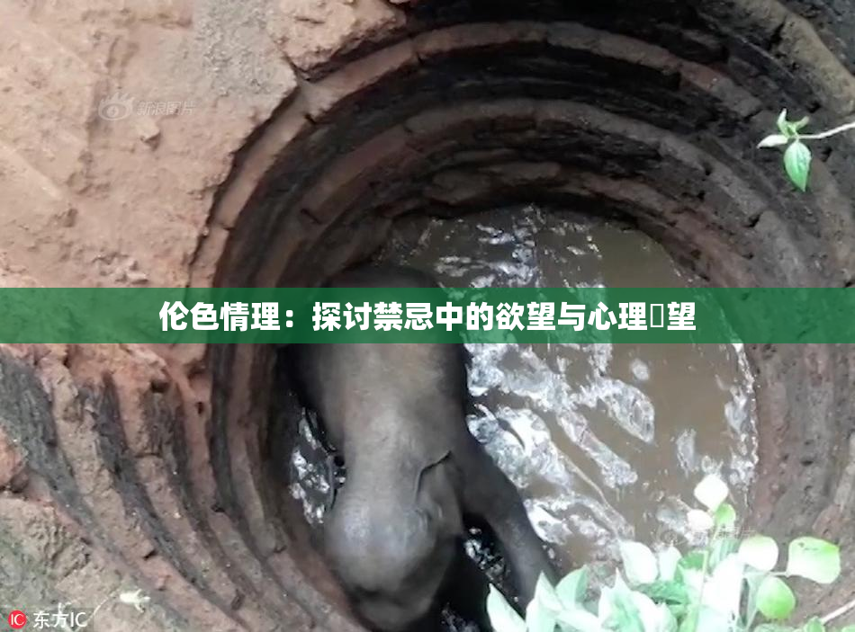 伦色情理：探讨禁忌中的欲望与心理瞭望