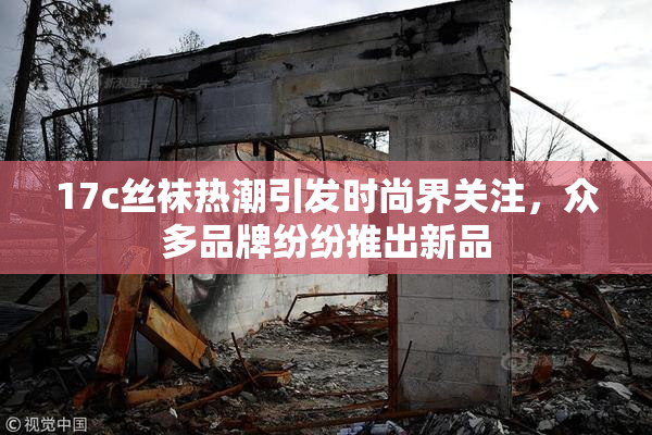 17c丝袜热潮引发时尚界关注，众多品牌纷纷推出新品