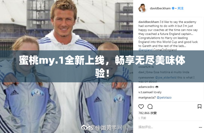 蜜桃my.1全新上线，畅享无尽美味体验！