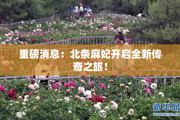 重磅消息：北条麻妃开启全新传奇之旅！