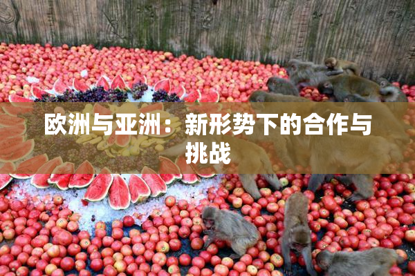 欧洲与亚洲：新形势下的合作与挑战