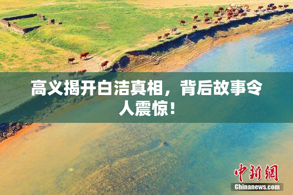 高义揭开白洁真相，背后故事令人震惊！
