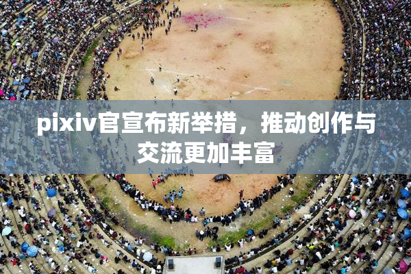 pixiv官宣布新举措，推动创作与交流更加丰富