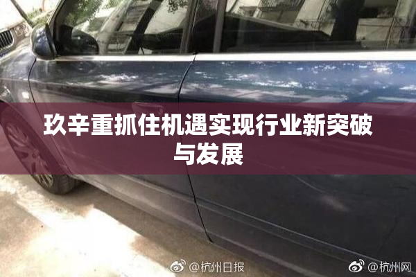 玖辛重抓住机遇实现行业新突破与发展