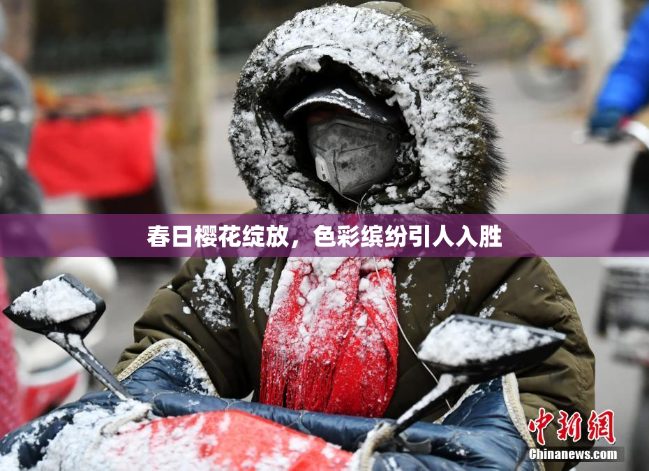 春日樱花绽放，色彩缤纷引人入胜