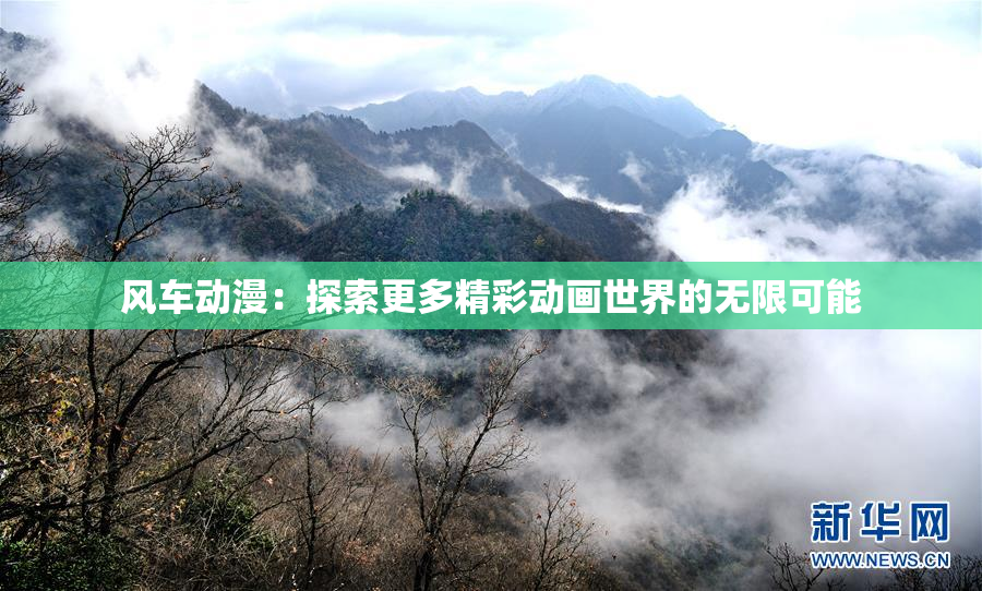 风车动漫：探索更多精彩动画世界的无限可能
