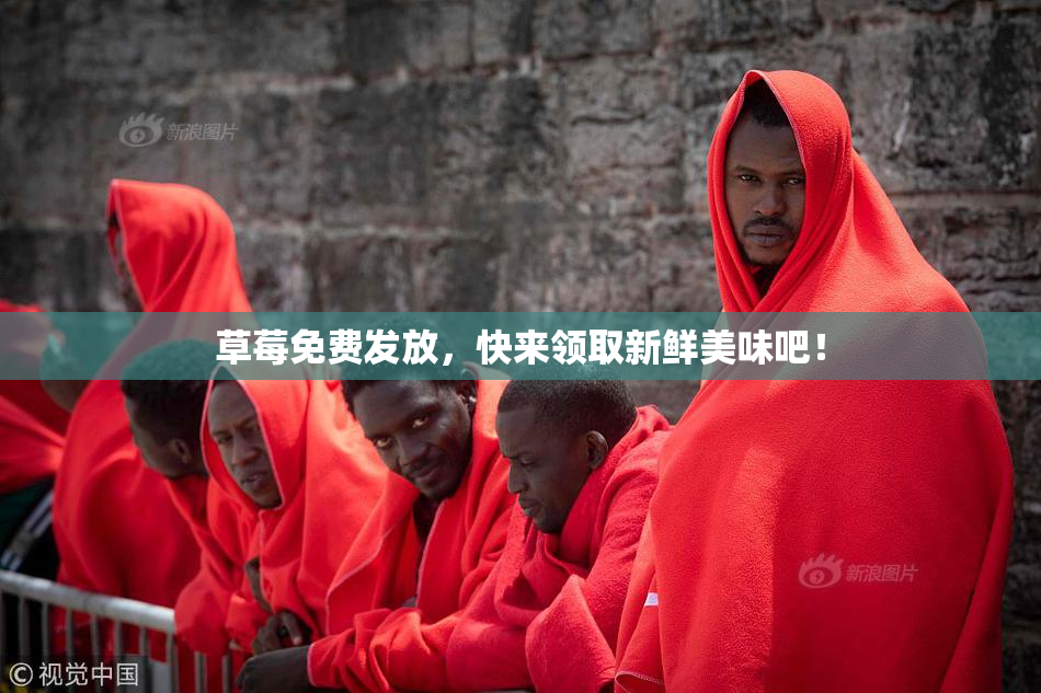 草莓免费发放，快来领取新鲜美味吧！