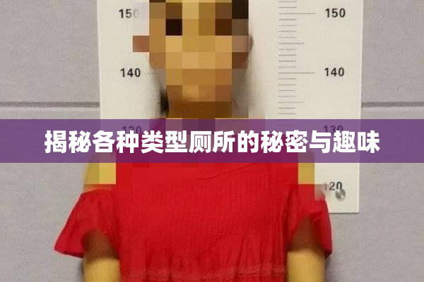 揭秘各种类型厕所的秘密与趣味
