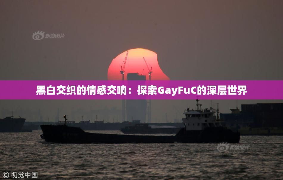 黑白交织的情感交响：探索GayFuC的深层世界