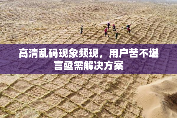 高清乱码现象频现，用户苦不堪言亟需解决方案