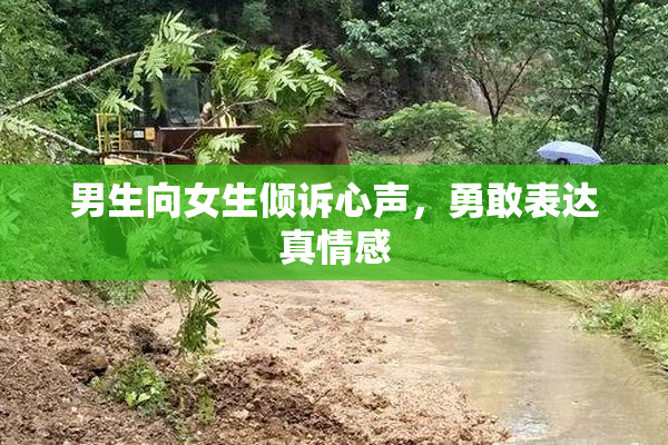 男生向女生倾诉心声，勇敢表达真情感