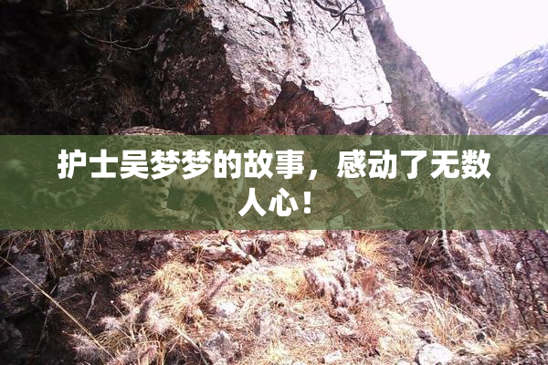 护士吴梦梦的故事，感动了无数人心！
