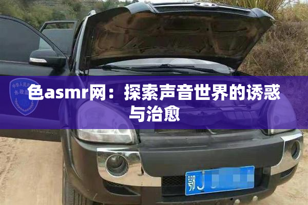 色asmr网：探索声音世界的诱惑与治愈