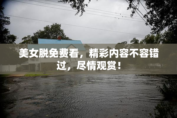 美女脱免费看，精彩内容不容错过，尽情观赏！
