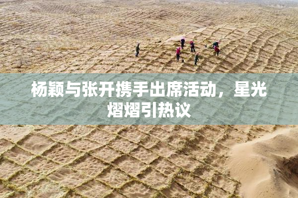 杨颖与张开携手出席活动，星光熠熠引热议
