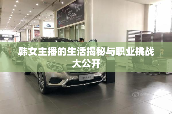 韩女主播的生活揭秘与职业挑战大公开
