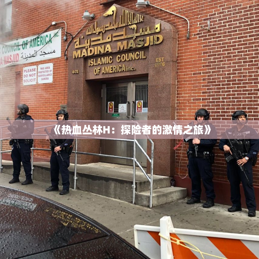 《热血丛林H：探险者的激情之旅》