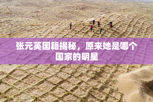 张元英国籍揭秘，原来她是哪个国家的明星