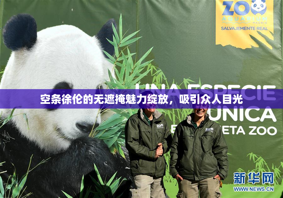 空条徐伦的无遮掩魅力绽放，吸引众人目光