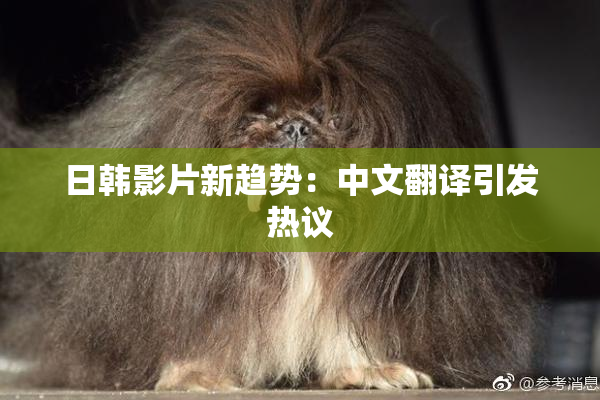 日韩影片新趋势：中文翻译引发热议