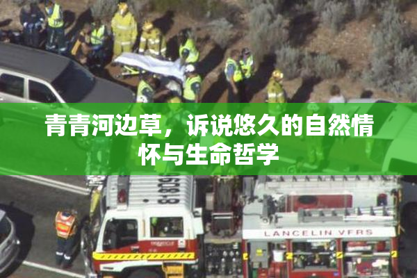 青青河边草，诉说悠久的自然情怀与生命哲学