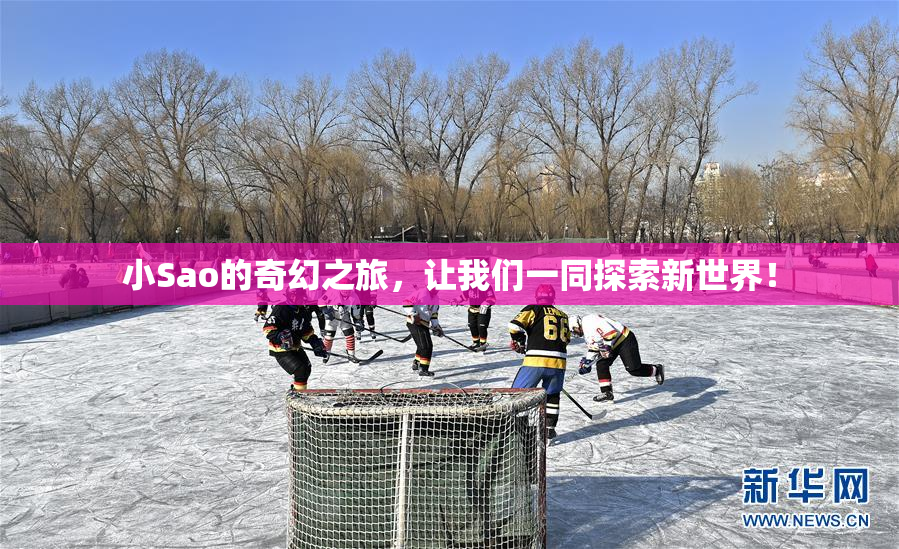 小Sao的奇幻之旅，让我们一同探索新世界！