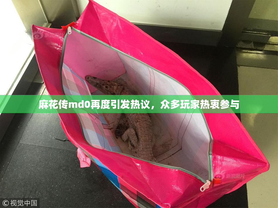 麻花传md0再度引发热议，众多玩家热衷参与