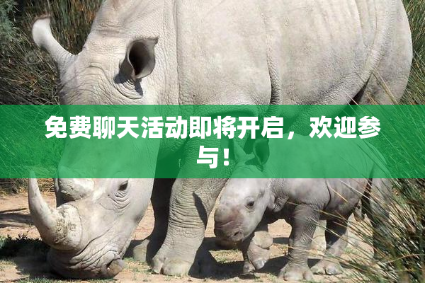 免费聊天活动即将开启，欢迎参与！