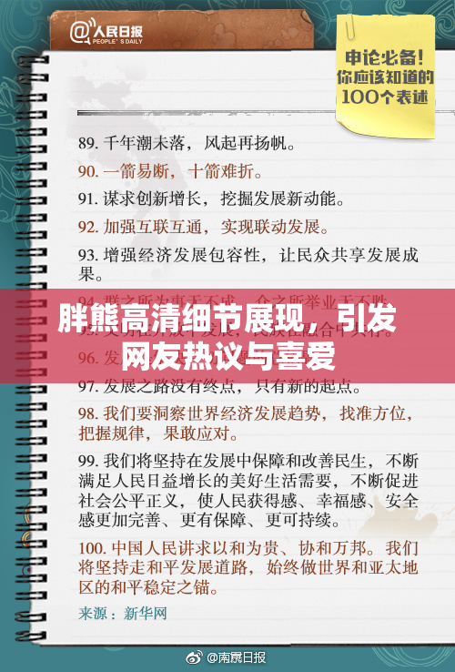 胖熊高清细节展现，引发网友热议与喜爱
