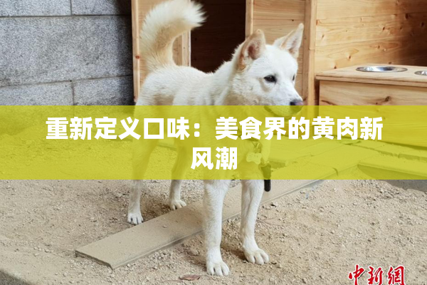 重新定义口味：美食界的黄肉新风潮