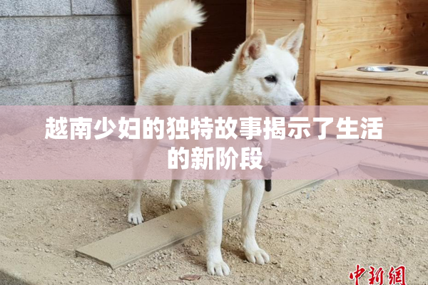 越南少妇的独特故事揭示了生活的新阶段