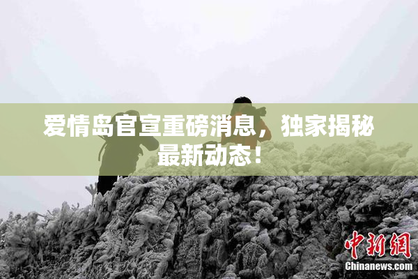 爱情岛官宣重磅消息，独家揭秘最新动态！