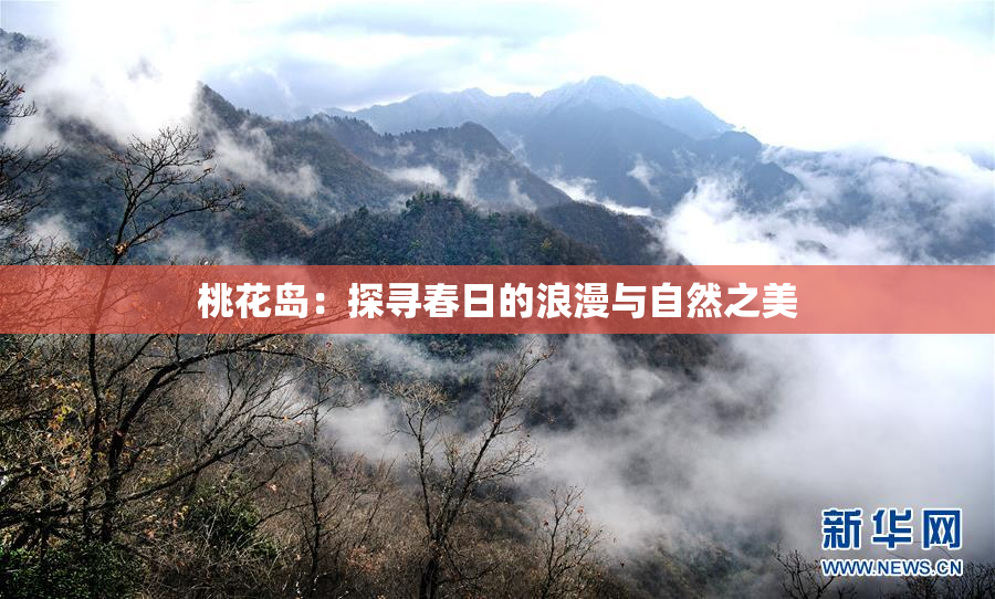 桃花岛：探寻春日的浪漫与自然之美