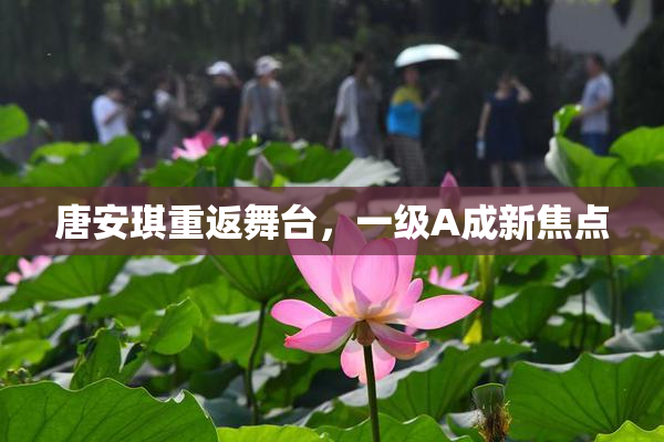 唐安琪重返舞台，一级A成新焦点